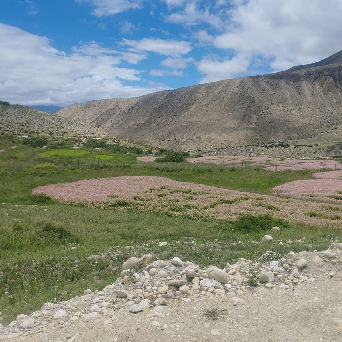 Upper Mustang Jeep Overland Tour - 8 Days